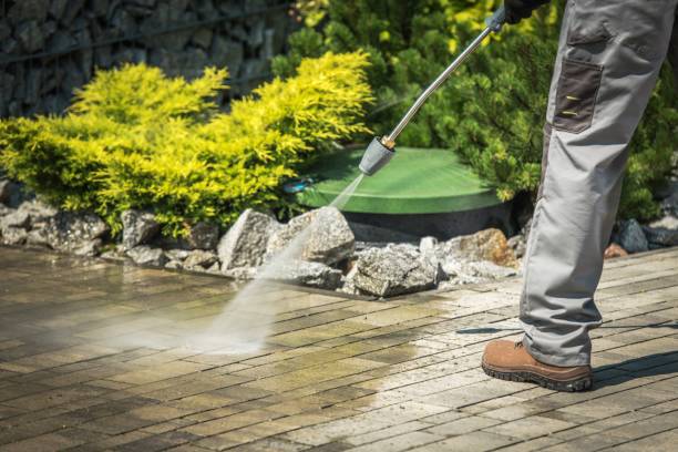 Best Dumpster Area Cleaning  in Micco, FL